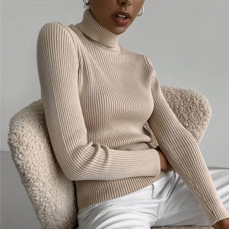 Knit Turtleneck Sweater